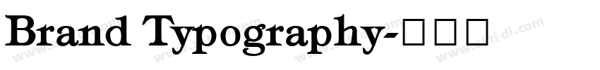 Brand Typography字体转换 Brand Typography字体转换